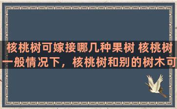 核桃树可嫁接哪几种果树 核桃树一般情况下，核桃树和别的树木可以进行嫁接吗谢谢